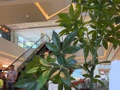 -潮界(LU·ONE凯德晶萃广场店)