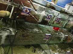 门面-南海渔家•海鲜•正宗海南菜(海棠湾店)