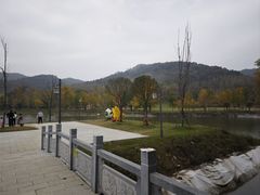 -千年银杏谷文化旅游区