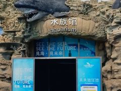 -秦皇岛乐岛海洋王国