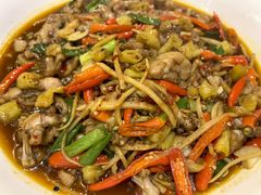 -小四川菜馆(托乐嘉店)