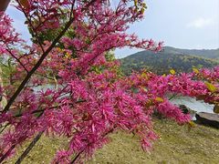 -穹窿山景区