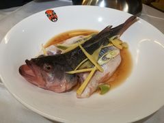 -俏江南(中山路先天下广场店)