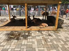 -长白岛森林公园