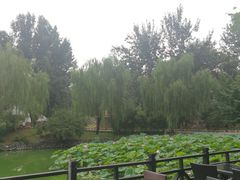 -北京民族园葉子里酒店(鸟巢店)