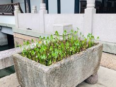 -金庸书院