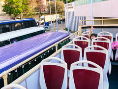 -Big Bus Tours 敞篷观光巴士