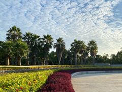 -厦门国家会计学院