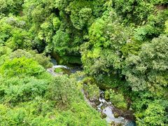 -鹿院坪生态旅游景区
