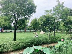 -长安上水缘度假庄园