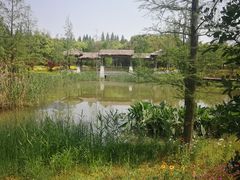 -同里国家湿地公园