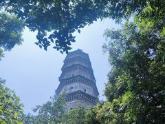 -巢湖姥山岛