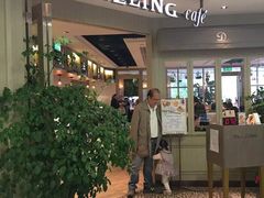 -Dazzling Cafe 蜜糖吐司专卖店