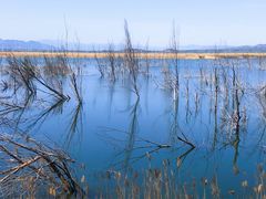 -野鸭湖国家湿地公园