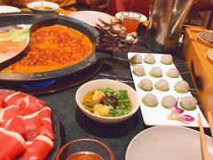 -杨家火锅(国美店)