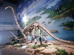 -自贡恐龙博物馆