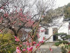 -无锡梅园公园