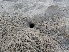 -东澳岛