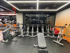 -健身专家Wellness Experts