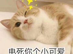 -红小满休闲餐厅(十全街店)