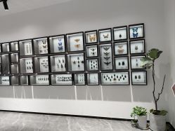 -酷嗒动物文化乐园(cutezoo西溪乐天城店)