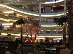 -上海大酒店(南京东路店)