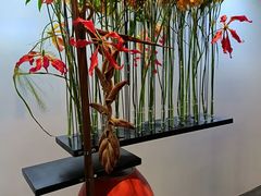 -云溪植物园