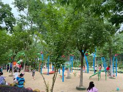 -合肥滨湖国家森林公园