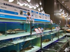 水产区-盒马鲜生(财富中心店)
