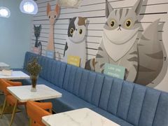 -Tomado绿色烘焙(大尧三路店)