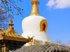 -护国法轮寺