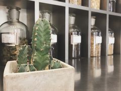 -MAMACHA妈妈茶(海信店)