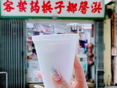 -洪馨椰子
