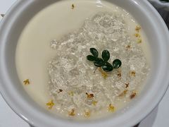 -觀芷隐轩