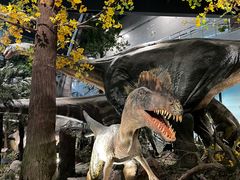 -湖南省地质博物馆