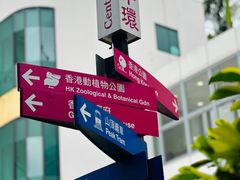 -太平山顶