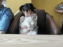 -猫咪咖啡店(新城大街店)