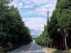 -崇圣寺三塔文化旅游区