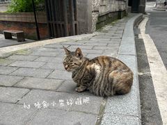 -山城巷传统风貌区