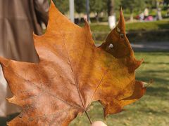 -重庆中央公园(渝北区)