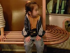 -影汇之星8字形摩天轮