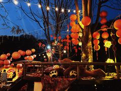 -HERRE·FARM 赫尔露营农场·团建聚会包场