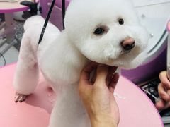 -FAELING PETS美天灵宠物(富力广场店)