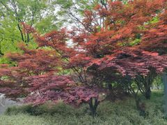 -苏州河梦清园环保主题公园