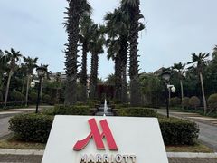 -海口万豪·大堂吧·望海吧.日落海景·下午茶·奶茶·咖啡·轻食·蛋糕·鸡尾酒·清吧