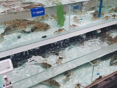 -盒马鲜生(新都心店)