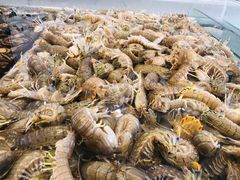 -孙家码头海鲜自助美食城