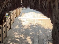 -乌山风景区