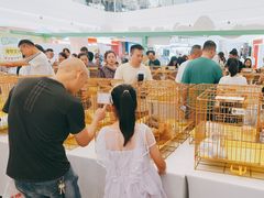 -帕帕拉兹宠物(亚洲旗舰店)