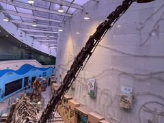 -陕西自然博物馆